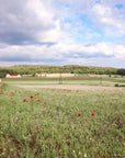 we are Forelsket Waldviertler Mohn