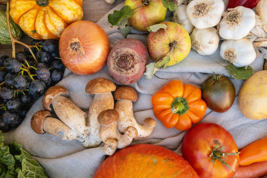 weareForelsket Magazin Herbst Gemüse vegane Rezepte