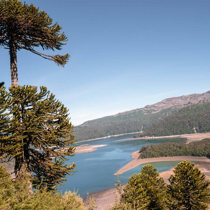 Patagonien Reisebericht im we are forelsket Magazin 